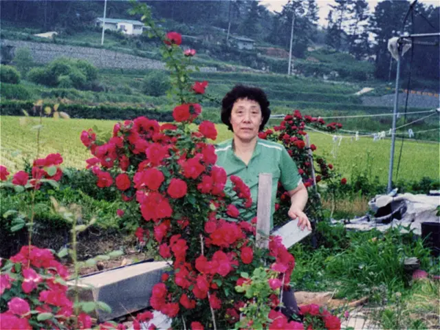 슬라이드 이미지 열기