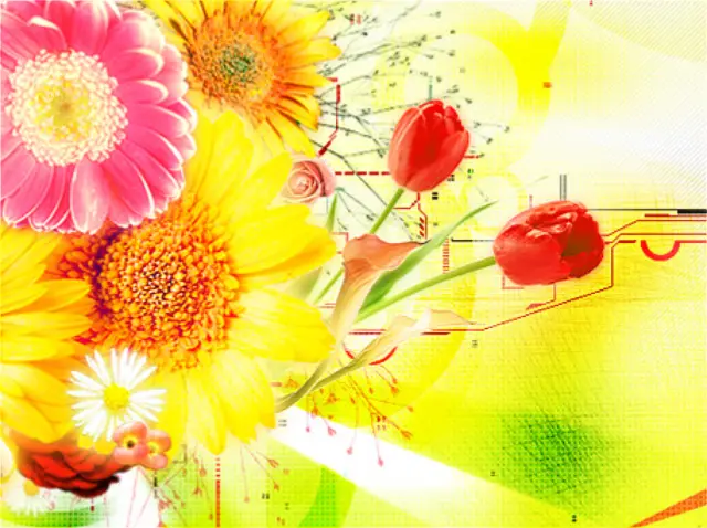 슬라이드 이미지 열기