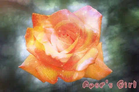 슬라이드 이미지 열기