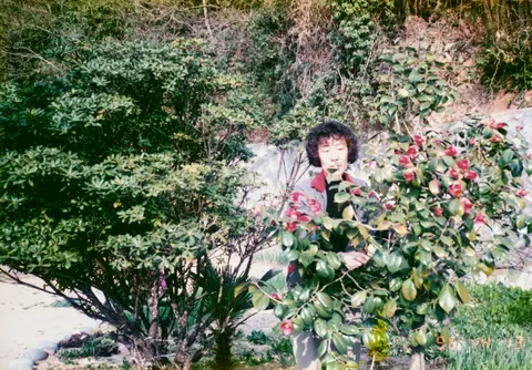 슬라이드 이미지 열기