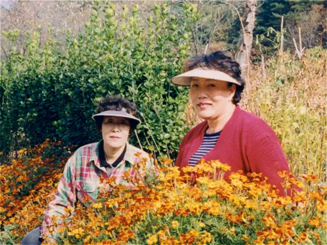 슬라이드 이미지 열기